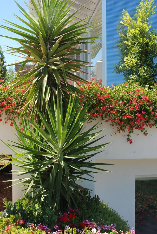 Hotel Torre Santamaria Resort Mattinata Exterior photo